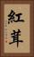 紅茸 Vertical Portrait