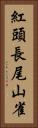 紅頭長尾山雀 Vertical Portrait