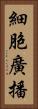 細胞廣播 Vertical Portrait