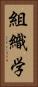 組織学 Vertical Portrait