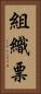 組織票 Vertical Portrait
