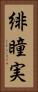 緋瞳実 Vertical Portrait