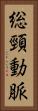 総頸動脈 Vertical Portrait