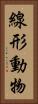 線形動物 Vertical Portrait