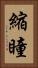 縮瞳 Vertical Portrait