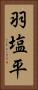 羽塩平 Vertical Portrait