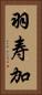 羽寿加 Vertical Portrait