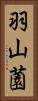 羽山薗 Vertical Portrait