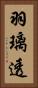 羽璃透 Vertical Portrait