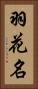 羽花名 Vertical Portrait
