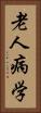 老人病学 Vertical Portrait