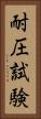 耐圧試験 Vertical Portrait