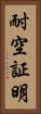 耐空証明 Vertical Portrait