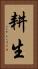 耕生 Vertical Portrait