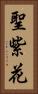 聖紫花 Vertical Portrait