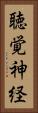 聴覚神経 Vertical Portrait