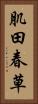 肌田春草 Vertical Portrait