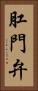肛門弁 Vertical Portrait