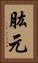肱元 Vertical Portrait