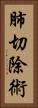 肺切除術 Vertical Portrait