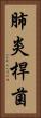 肺炎桿菌 Vertical Portrait