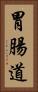 胃腸道 Vertical Portrait