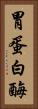 胃蛋白酶 Vertical Portrait