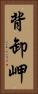 背卸岬 Vertical Portrait
