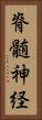 脊髄神経 Vertical Portrait