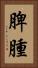脾腫 Vertical Portrait