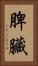 脾臟 Vertical Portrait