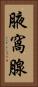 腋窩腺 Vertical Portrait