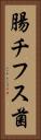 腸チフス菌 Vertical Portrait