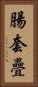 腸套疊 Vertical Portrait