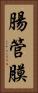 腸管膜 Vertical Portrait