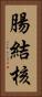 腸結核 Vertical Portrait