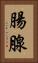 腸腺 Vertical Portrait