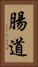 腸道 Vertical Portrait