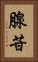 腺苷 Vertical Portrait
