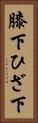 膝下 Vertical Portrait