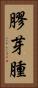 膠芽腫 Vertical Portrait
