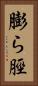 膨ら脛 Vertical Portrait
