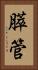 膵管 Vertical Portrait