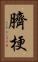 臍梗 Vertical Portrait