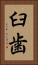 臼歯 Vertical Portrait