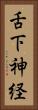 舌下神経 Vertical Portrait
