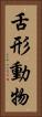舌形動物 Vertical Portrait