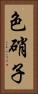 色硝子 Vertical Portrait