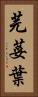 芫荽葉 Vertical Portrait
