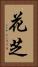 花芝 Vertical Portrait